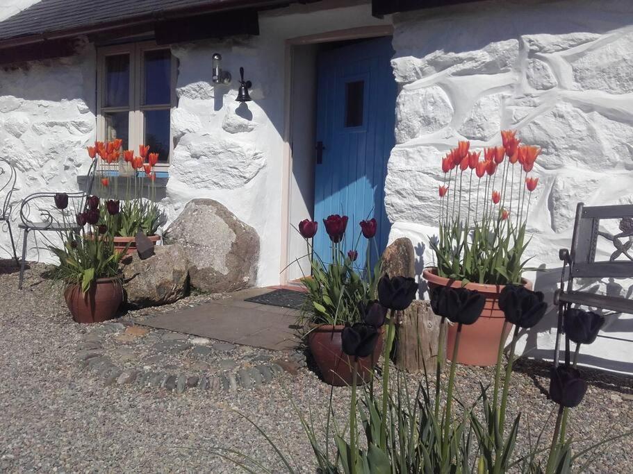 Traditional Stone Cottage With Sea Views In Snowdonia National Park Brynkir Εξωτερικό φωτογραφία